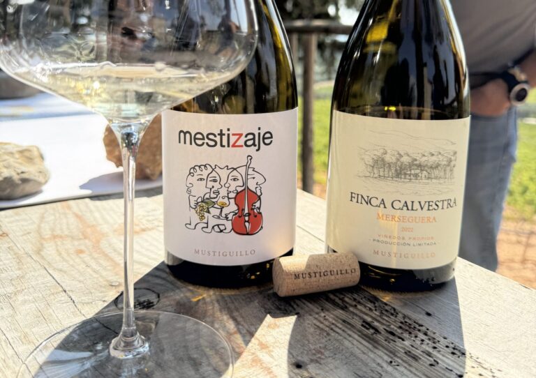 Bodega Mustiguillo Cata