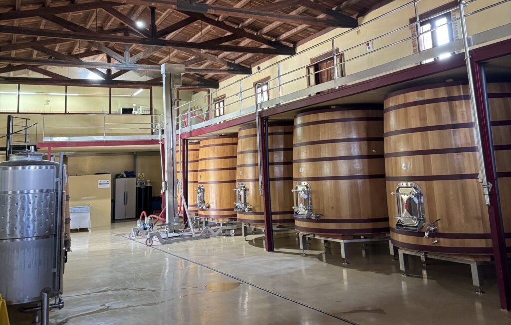 Bodega Mustiguillo Barricas