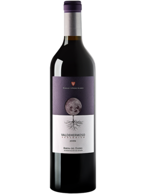 Vino Valderiz Valdehermoso Joven