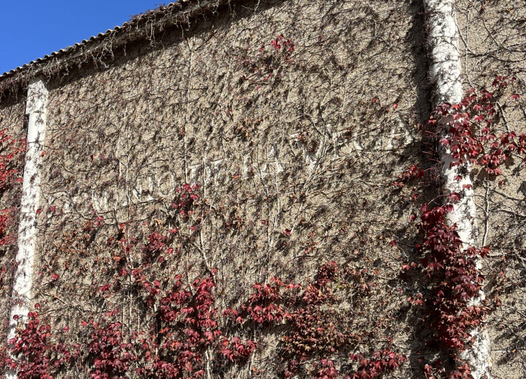 Pared Dominio de la Vega