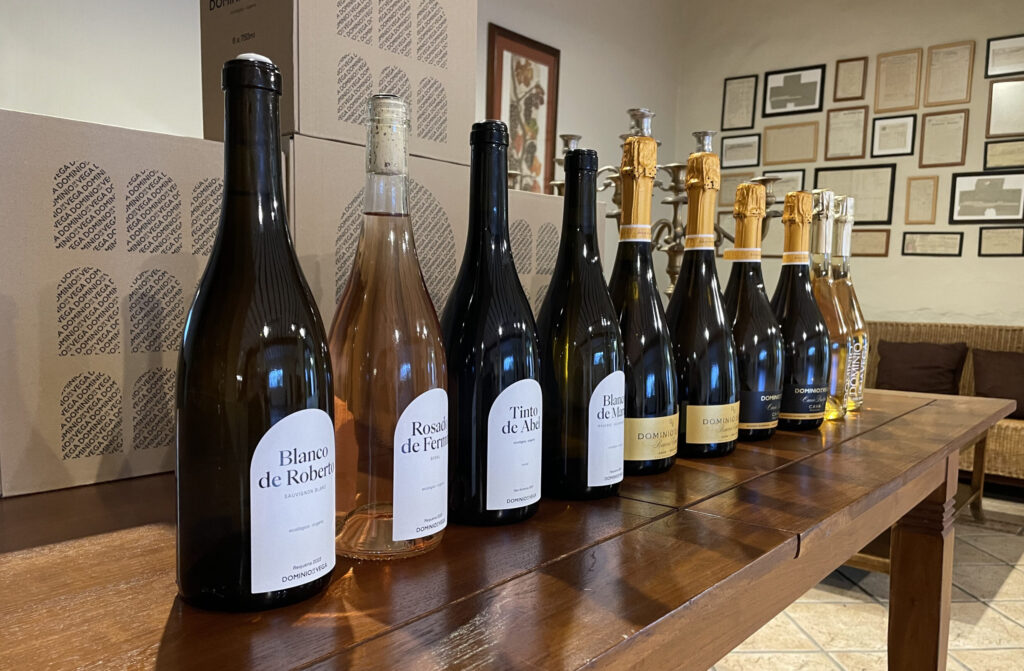 Gama vinos bodega Dominio de la Vega