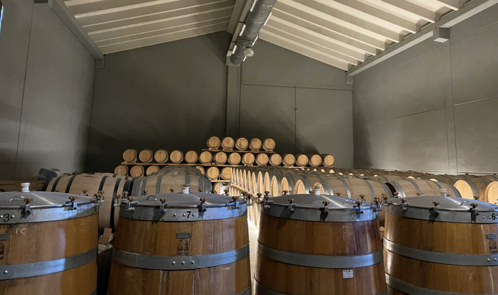 Interior bodega Dominio de la Vega