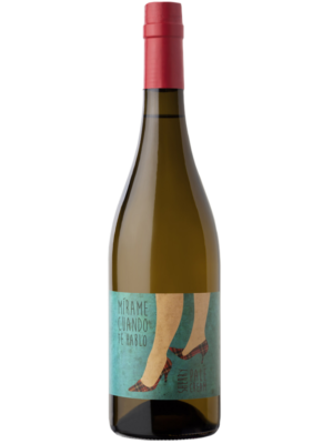 Vino Mírame Cuando Te Hablo