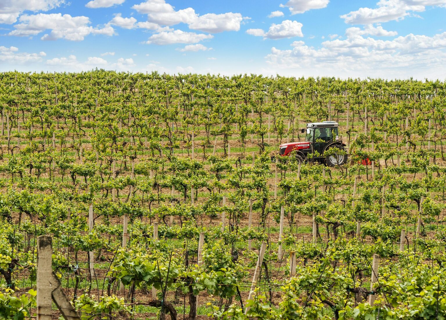 tractor viñas vid
