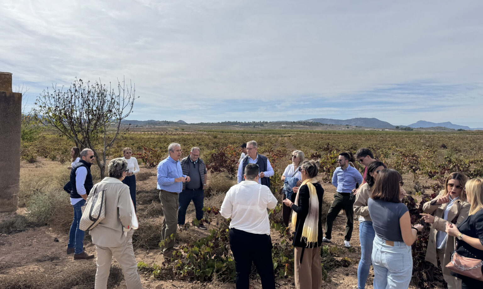 Enoturismo en Alicante