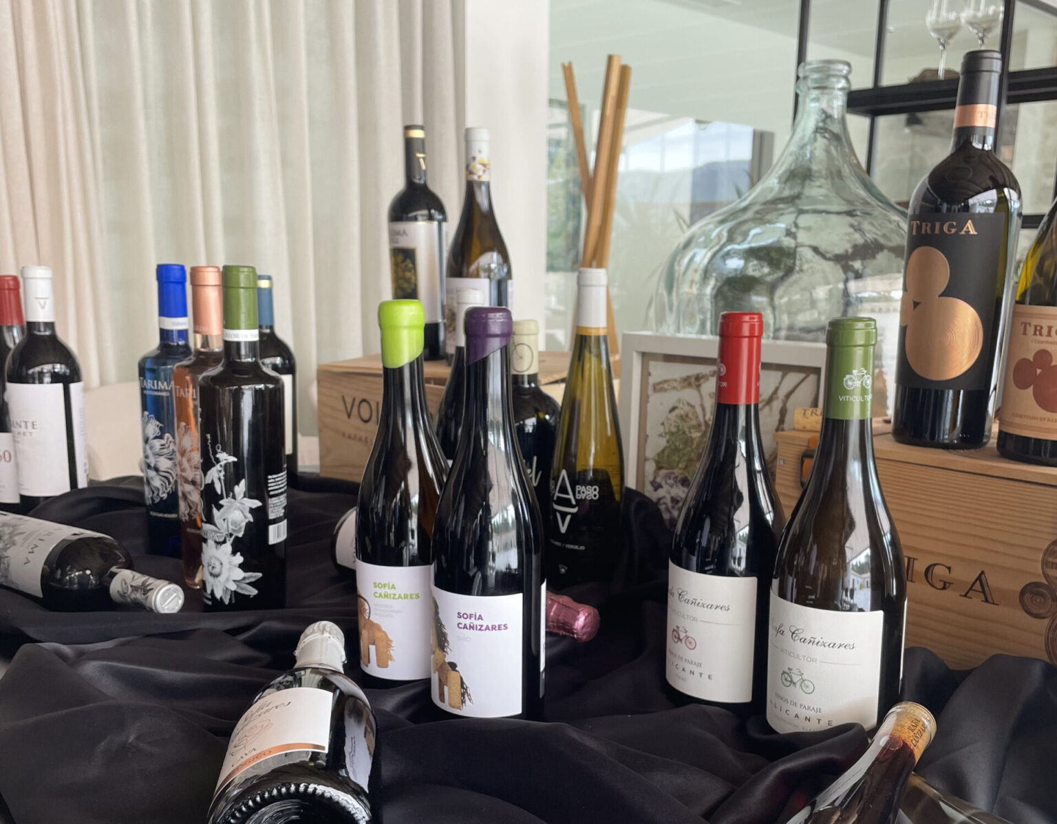 Cata Bodegas Volver Rafa Cañizares